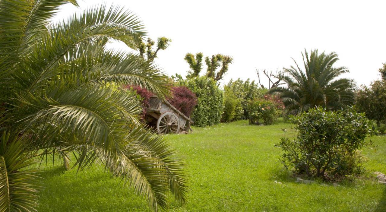 Il Girasole Country House Camerano Εξωτερικό φωτογραφία